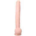 0268_00_bu1_1.png