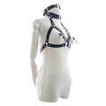 7-bondage-strap-bra-with-gag-and-nipple-clamps.jpg