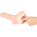 50067750000_nor_h.jpg