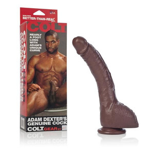 Brązowy penis Colt Adam Dexter Cock 11 cali 034199